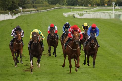 catterick races|catterick races 2022.